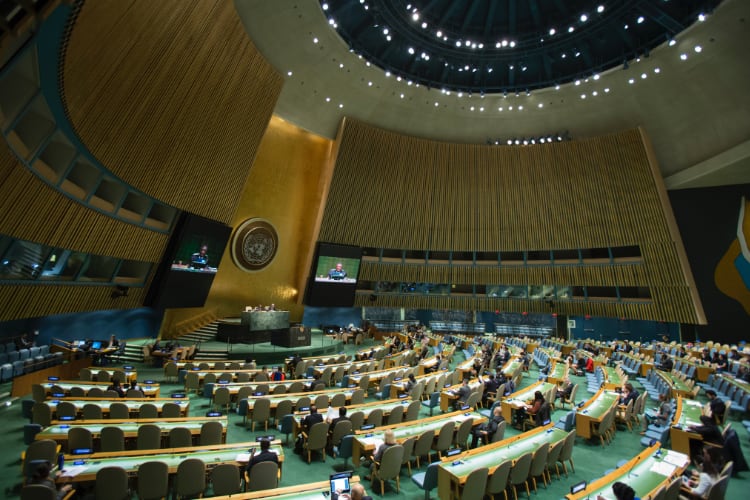 UN General assembly