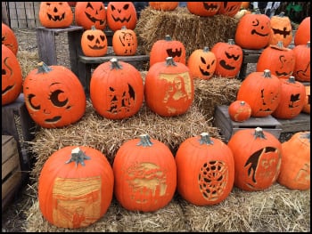 Pumpkins - Carved