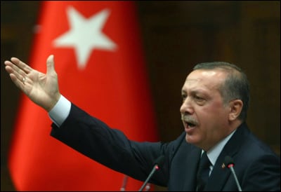 Erdogan & Turkish Flag
