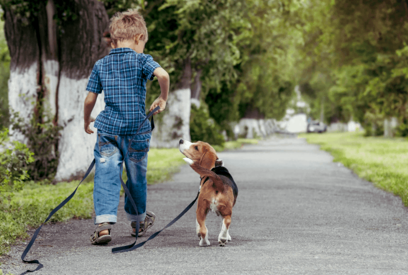 A boy and his dog