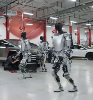 Tesla Robots

