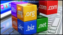 Domain Name roots